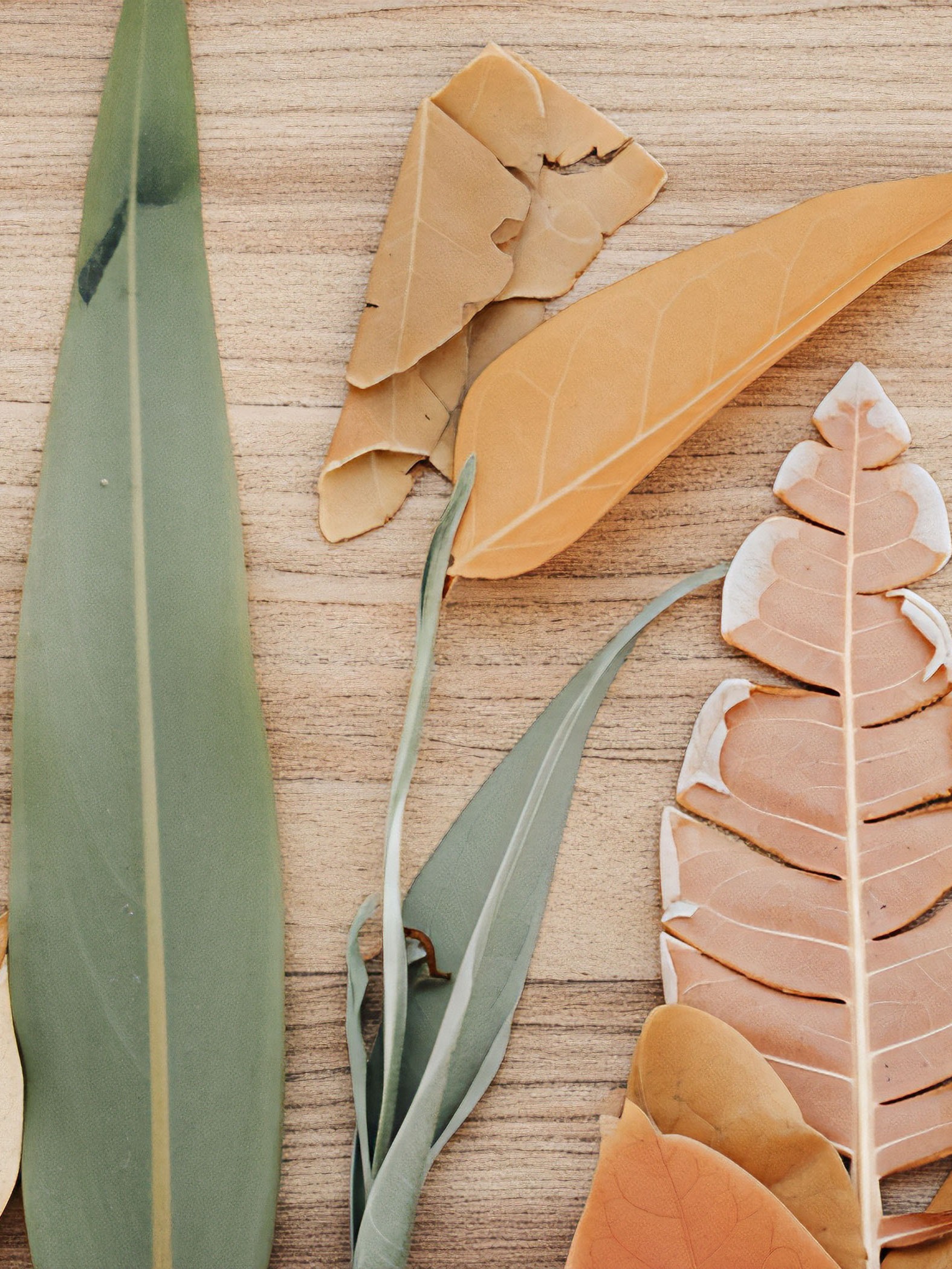 environmental impact assessment